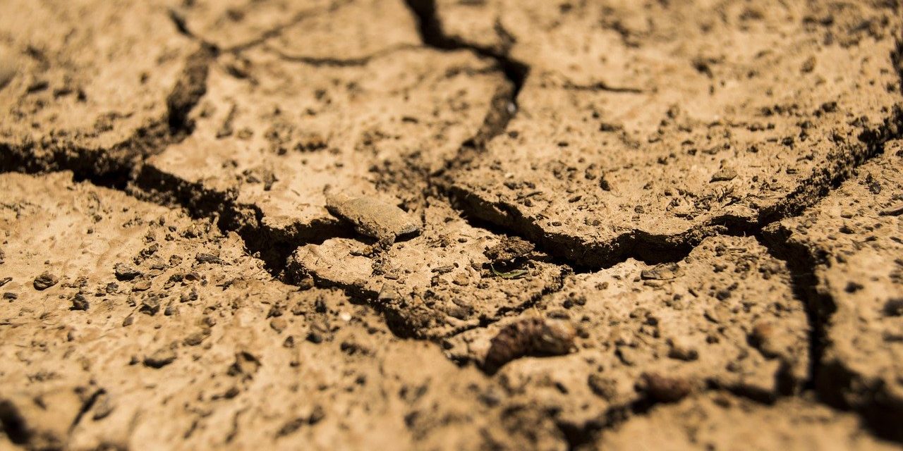drought-780088_1280